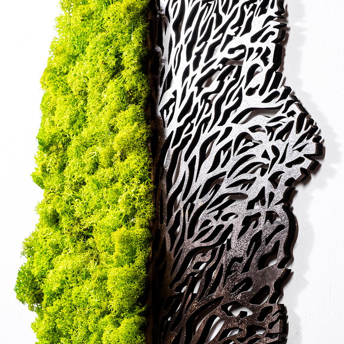 Wallity Green And Dry
